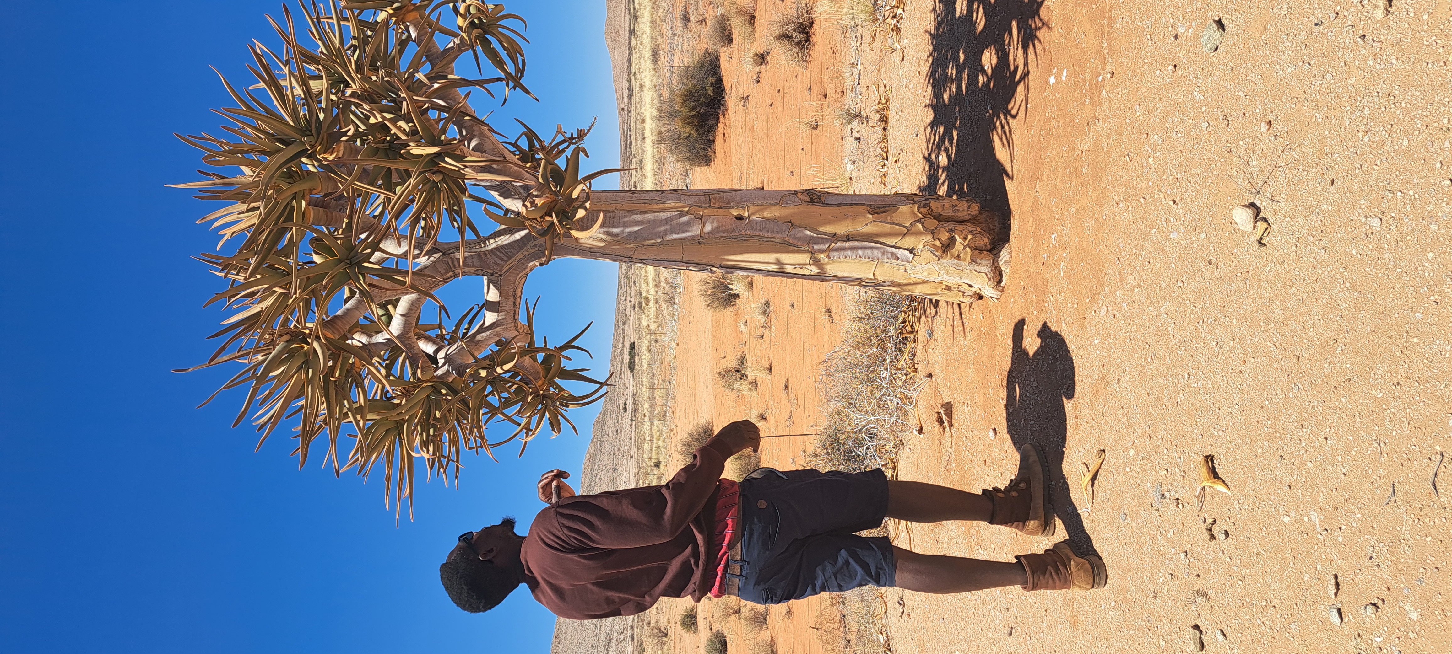 Environmental Specialist - ThomaTree Family